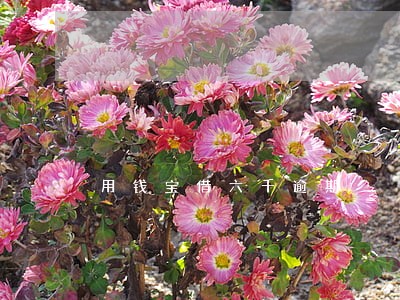 用钱宝借六千逾期 用钱宝借六千逾期