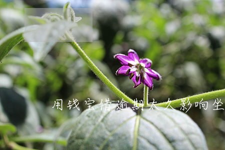 用钱宝借逾期太久影响坐车吗 用钱宝借逾期太久影响坐车吗