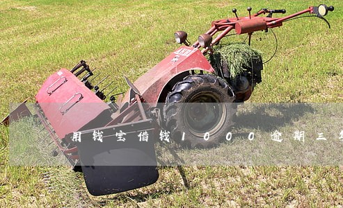 用钱宝借钱1000逾期三年 用钱宝借钱1000逾期三年