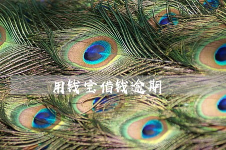 用钱宝借钱逾期 用钱宝借钱逾期