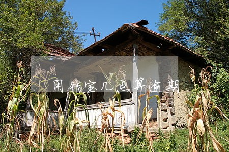 用钱宝几点算逾期 用钱宝几点算逾期