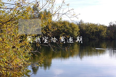 用钱宝协商逾期 用钱宝协商逾期