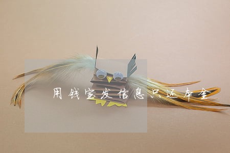 用钱宝发信息只还本金 用钱宝发信息只还本金