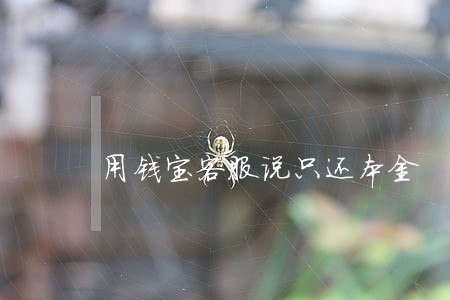 用钱宝客服说只还本金 用钱宝客服说只还本金