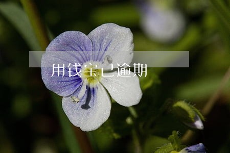 用钱宝已逾期 用钱宝已逾期
