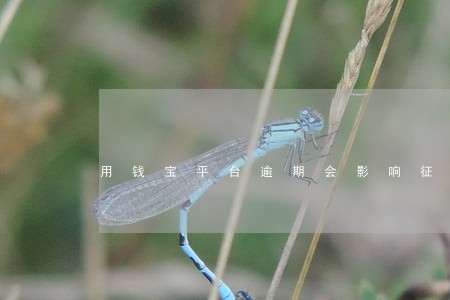 用钱宝平台逾期会影响征信吗 用钱宝平台逾期会影响征信吗