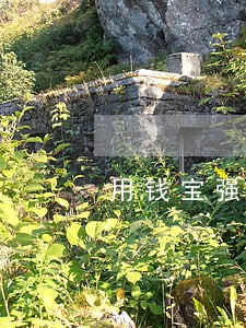 用钱宝强逾期