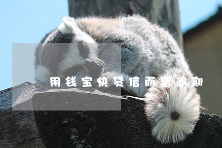 用钱宝快贷信而富逾期 用钱宝快贷信而富逾期