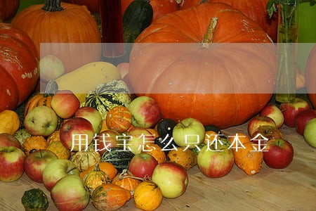 用钱宝怎么只还本金 用钱宝怎么只还本金