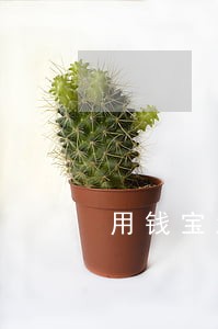 用钱宝怎样才算逾期 用钱宝怎样才算逾期