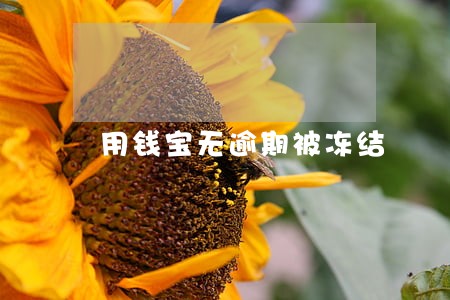用钱宝无逾期被冻结