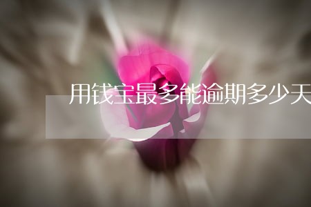 用钱宝最多能逾期多少天