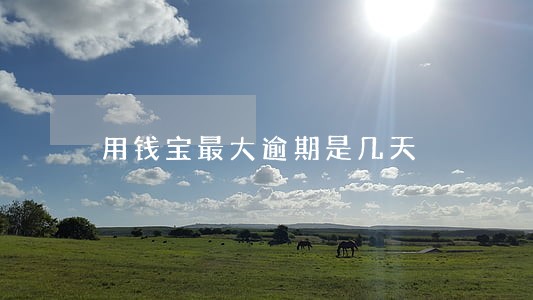 用钱宝最大逾期是几天 用钱宝最大逾期是几天