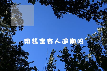 用钱宝有人逾期吗 用钱宝有人逾期吗