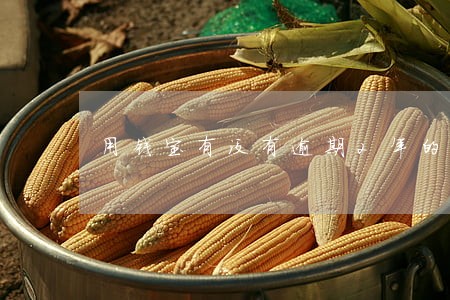 用钱宝有没有逾期2年的