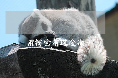 用钱宝有过逾期 用钱宝有过逾期