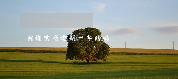 用钱宝有逾期一年的吗 用钱宝有逾期一年的吗