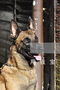 用钱宝有逾期也能下款的平台 用钱宝有逾期也能下款的平台