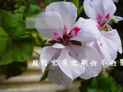 用钱宝有逾期会不会影响买房 用钱宝有逾期会不会影响买房