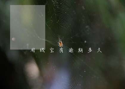 用钱宝有逾期多久