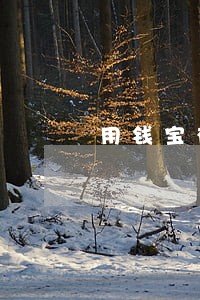 用钱宝有逾期能提额 用钱宝有逾期能提额