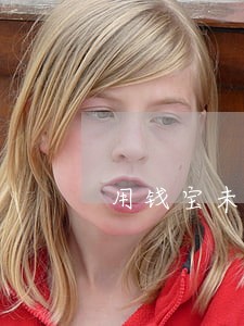 用钱宝未逾期过