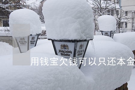 用钱宝欠钱可以只还本金吗 用钱宝欠钱可以只还本金吗