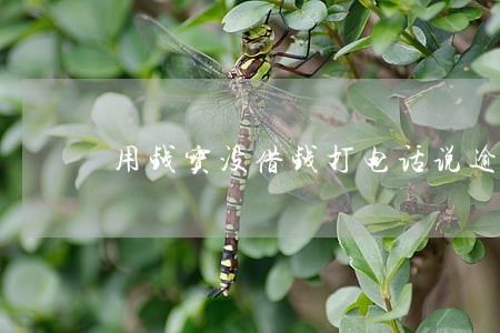 用钱宝没借钱打电话说逾期不还