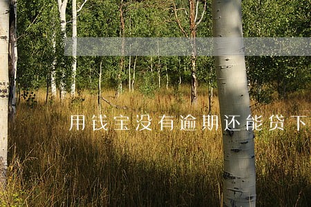 用钱宝没有逾期还能贷下来不 用钱宝没有逾期还能贷下来不