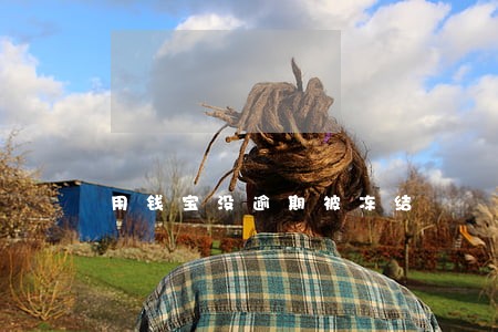 用钱宝没逾期被冻结 用钱宝没逾期被冻结