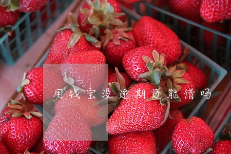 用钱宝没逾期还能借吗 用钱宝没逾期还能借吗