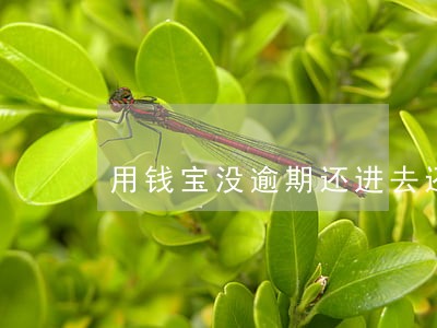 用钱宝没逾期还进去还能借出来吗 用钱宝没逾期还进去还能借出来吗