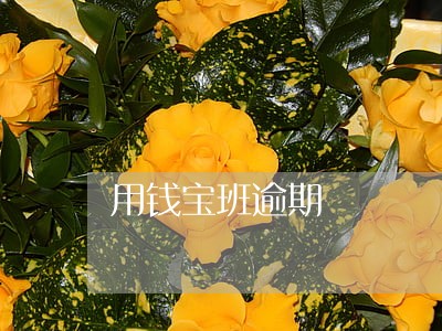 用钱宝班逾期