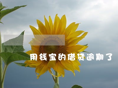 用钱宝的借贷逾期了