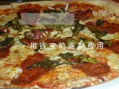 用钱宝的逾期费用