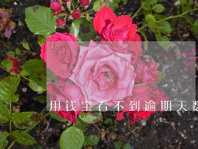 用钱宝看不到逾期天数 用钱宝看不到逾期天数