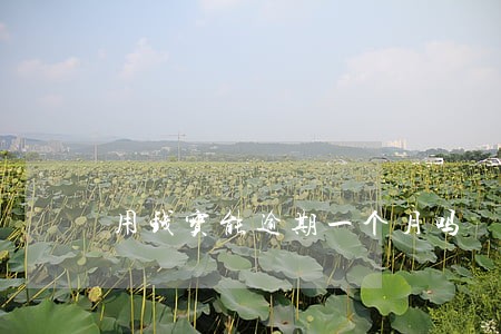 用钱宝能逾期一个月吗 用钱宝能逾期一个月吗