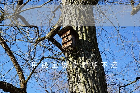 用钱宝贷款逾期不还 用钱宝贷款逾期不还