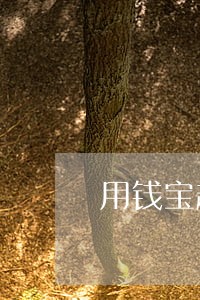 用钱宝趣花花逾期 用钱宝趣花花逾期