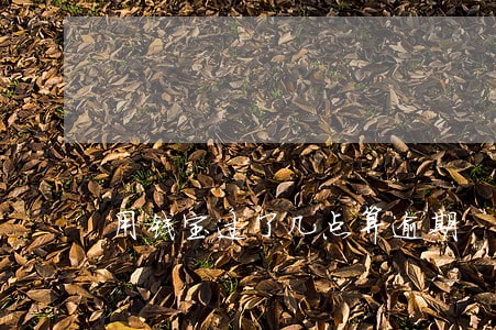 用钱宝过了几点算逾期 用钱宝过了几点算逾期