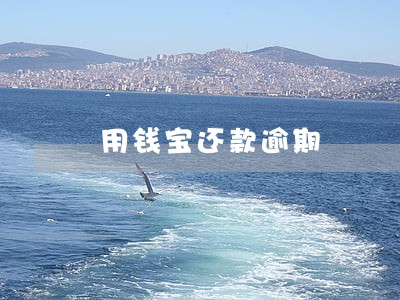 用钱宝还款逾期 用钱宝还款逾期
