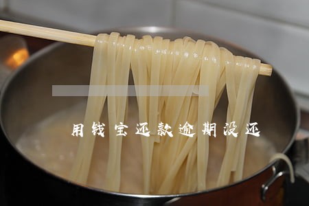 用钱宝还款逾期没还 用钱宝还款逾期没还
