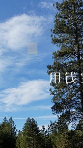 用钱宝速用钱逾期上征信吗 用钱宝速用钱逾期上征信吗