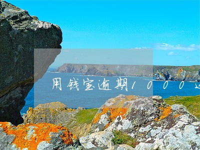用钱宝逾期1000还多少 用钱宝逾期1000还多少