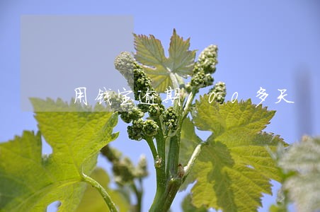 用钱宝逾期100多天