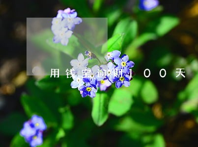 用钱宝逾期100天