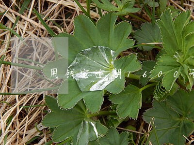 用钱宝逾期1600元上门吗 用钱宝逾期1600元上门吗