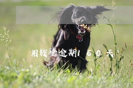 用钱宝逾期160天 用钱宝逾期160天