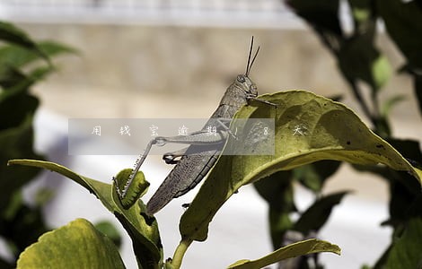 用钱宝逾期18天 用钱宝逾期18天