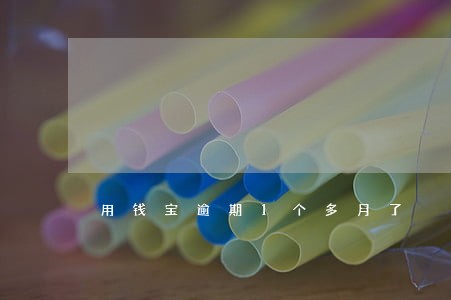 用钱宝逾期1个多月了